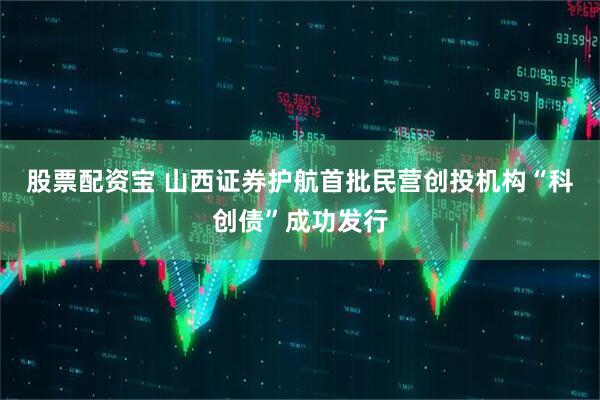 股票配资宝 山西证券护航首批民营创投机构“科创债”成功发行