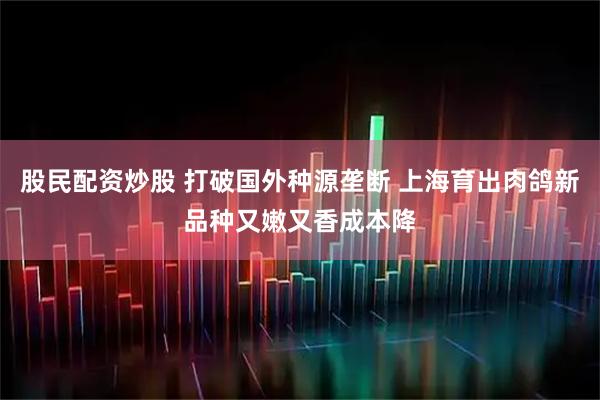 股民配资炒股 打破国外种源垄断 上海育出肉鸽新品种又嫩又香成本降